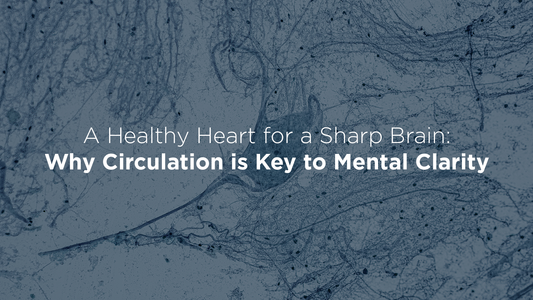 A Healthy Heart for a Sharp Brain: Why Circulation Is Key to Mental Clarity