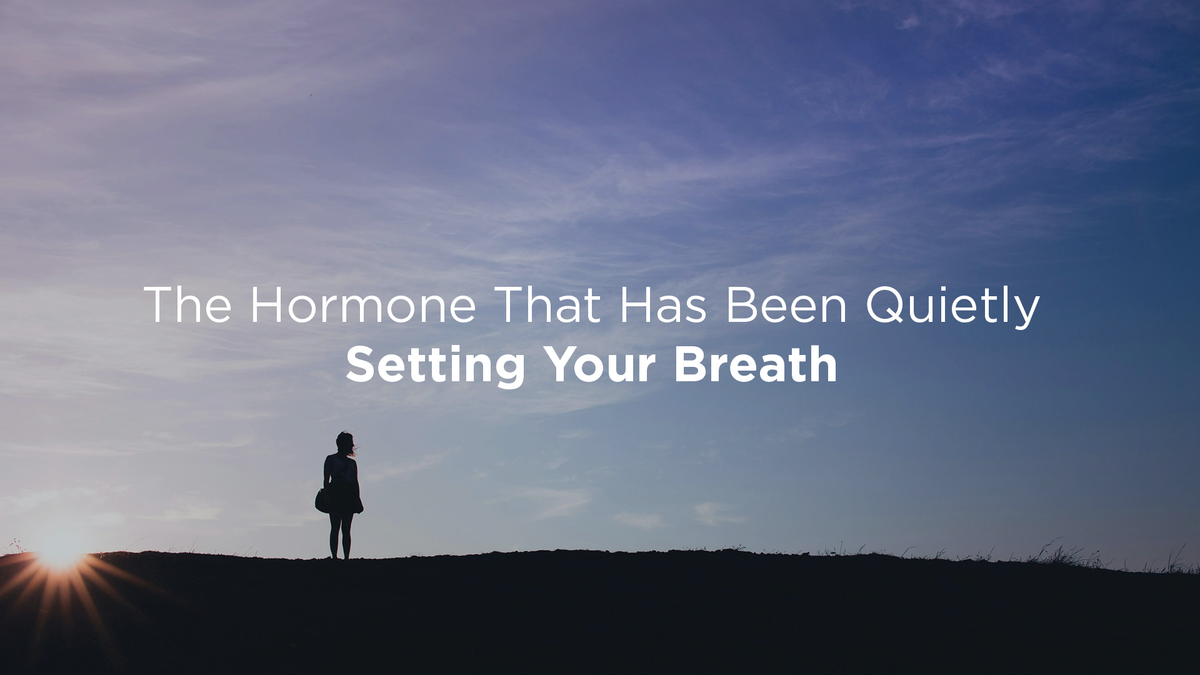 How progesterone shapes the way women breathe across life, and what shifts at menopause.