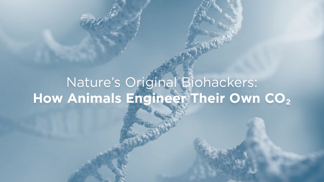 Nature’s Original Biohackers: How Animals Engineer Their Own CO₂