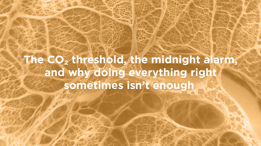 Why You Wake at 2:17 a.m.