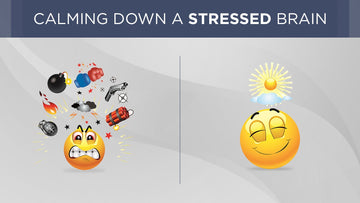 Calming down a stressed brain - Conscious Breathing Institute