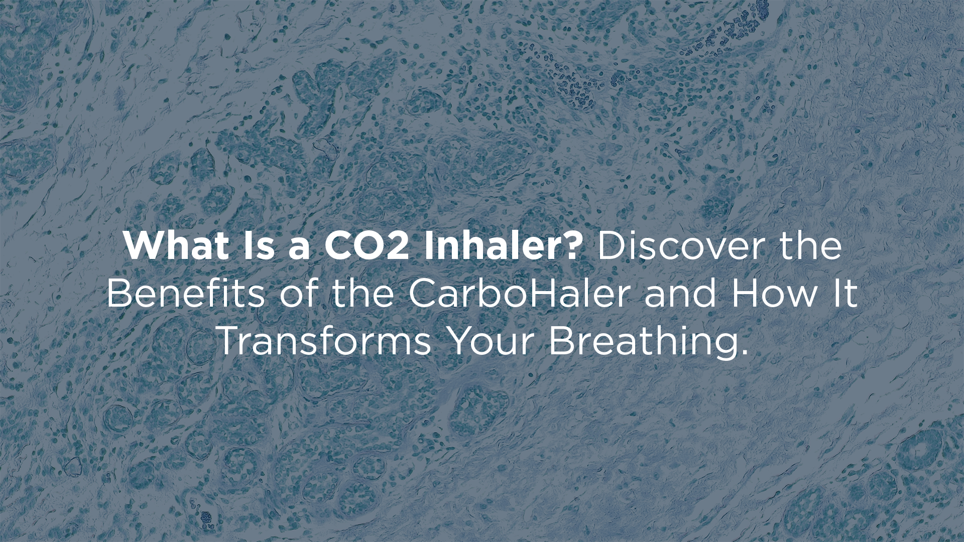 What is a CO2 Inhaler? Benefits, How It Works, and Why People Love the CarboHaler