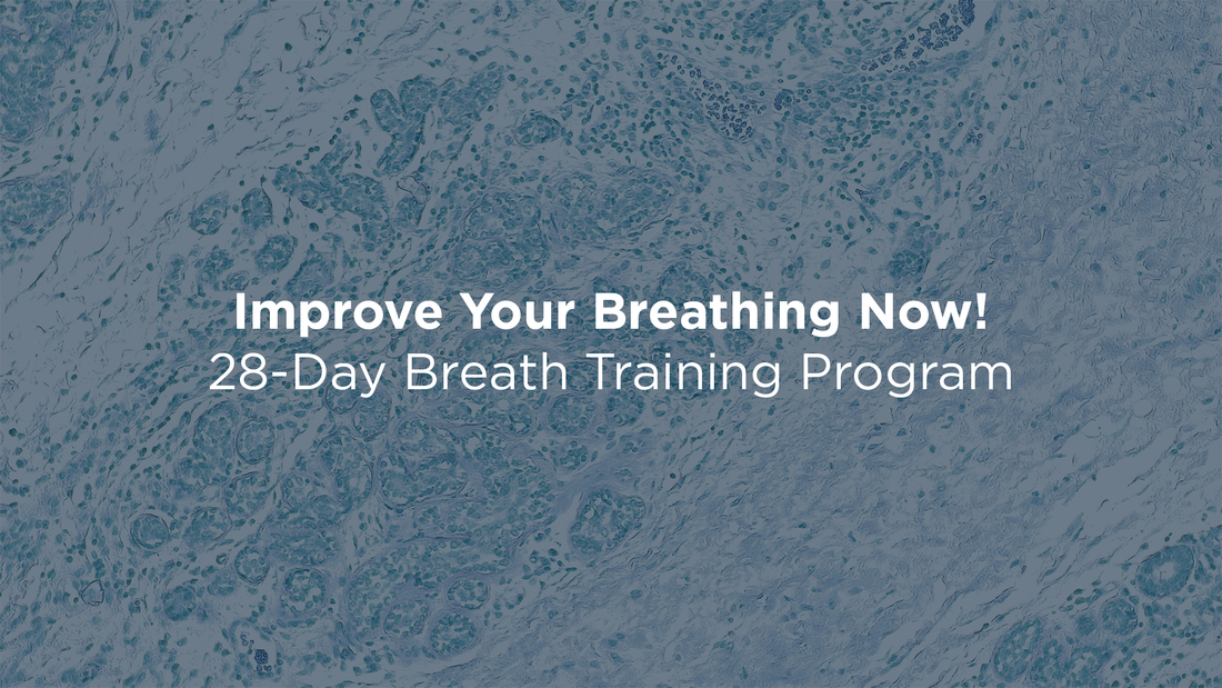 Improve Your Breathing Habits Now