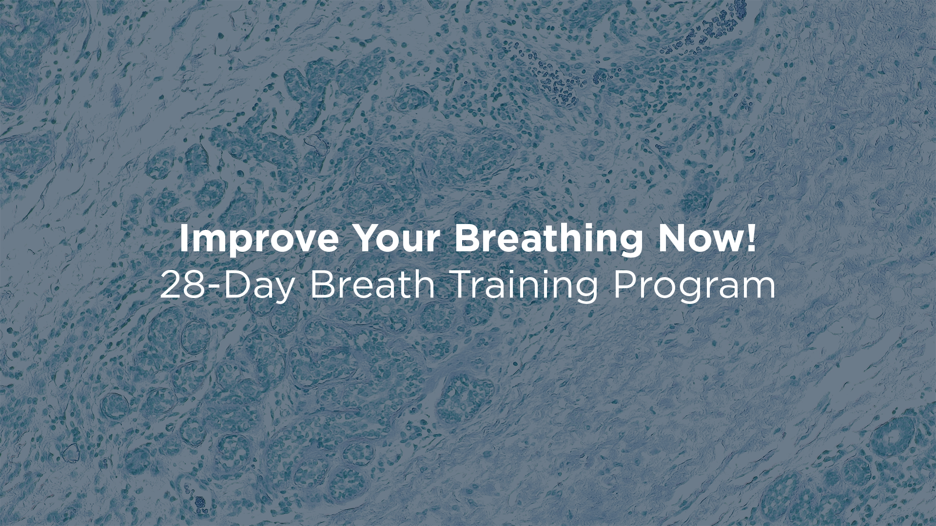 Improve Your Breathing Habits Now