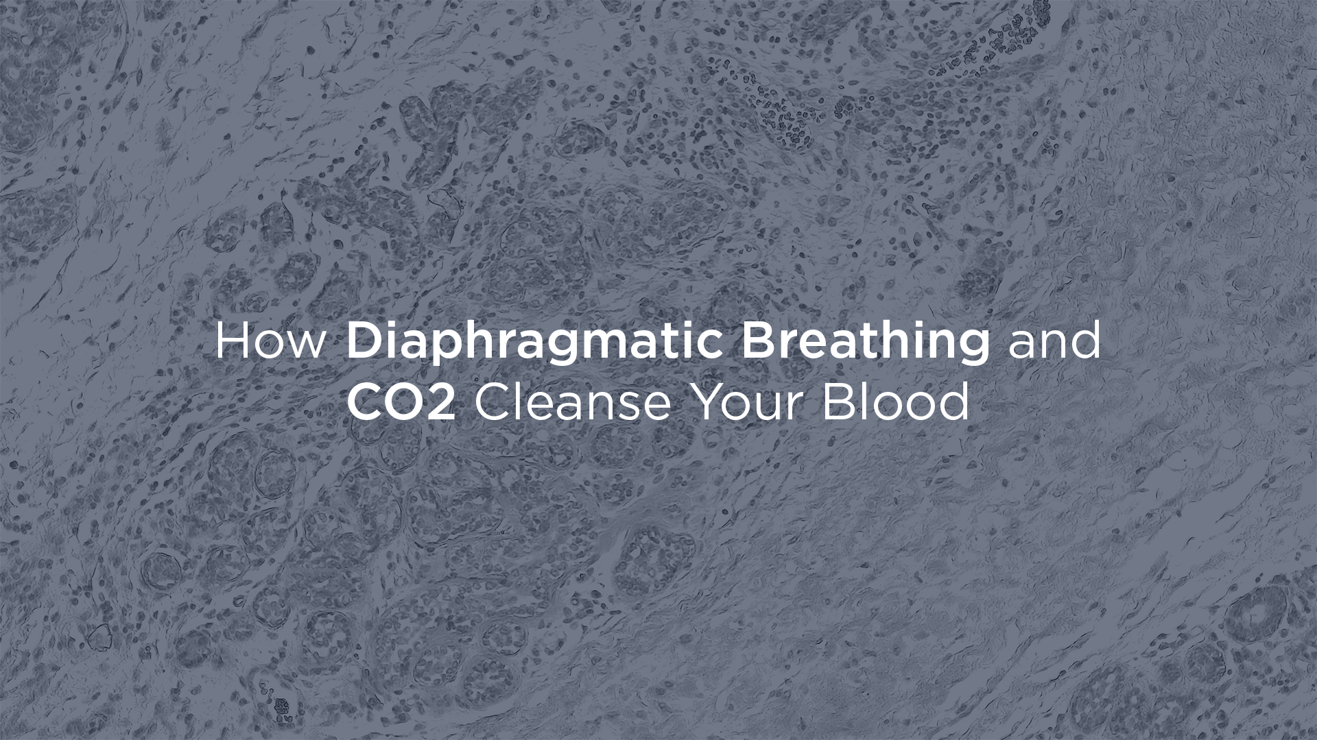 Diaphragmatic Breathing and CO2 —  Nature’s Blood Purifiers