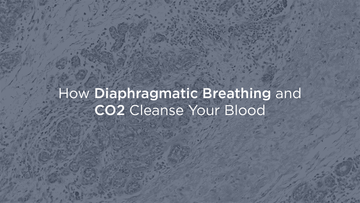 Diaphragmatic Breathing and CO2 —  Nature’s Blood Purifiers