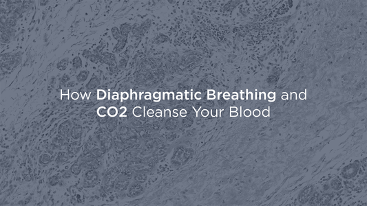 Diaphragmatic Breathing and CO2 —  Nature’s Blood Purifiers