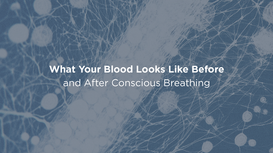 Incredible effect on the blood with The Relaxator