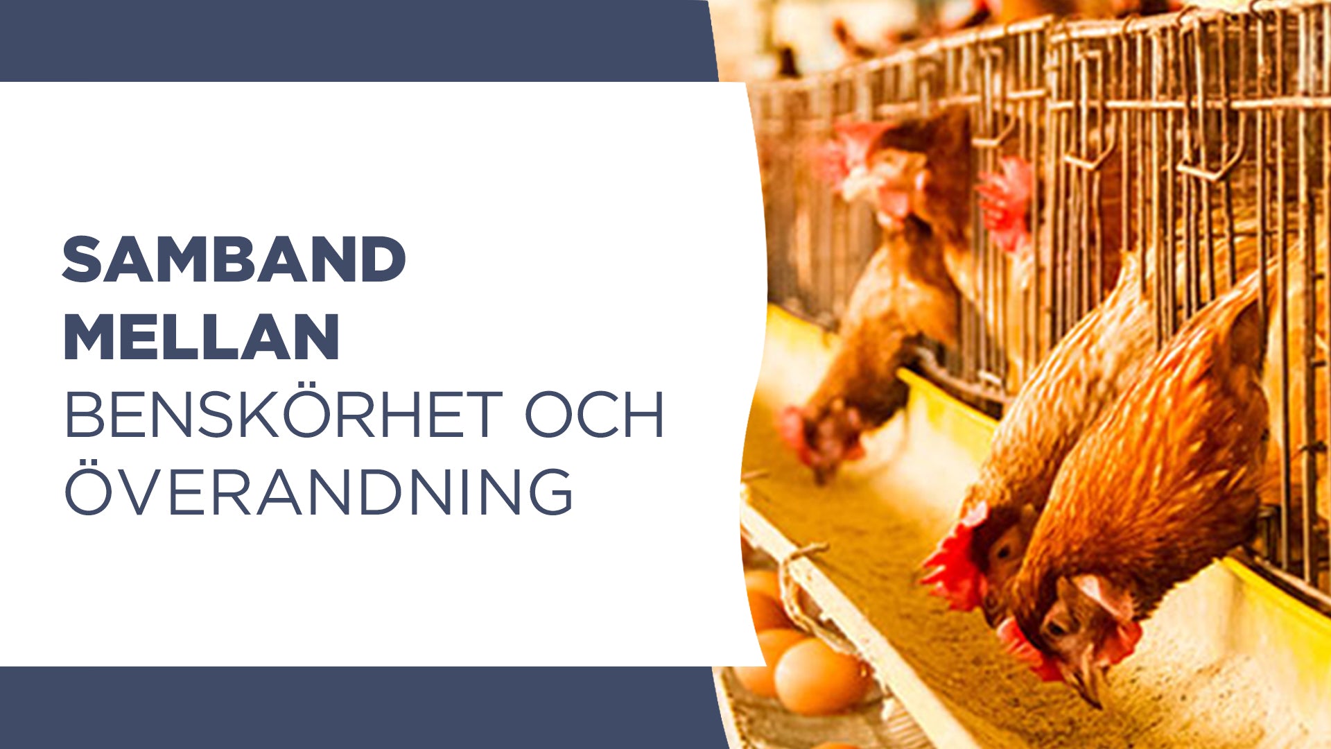 Samband mellan benskörhet och överandning