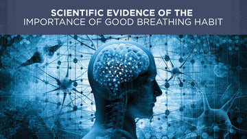 Scientific evidence of the importance of good breathing habits - Conscious Breathing Institute