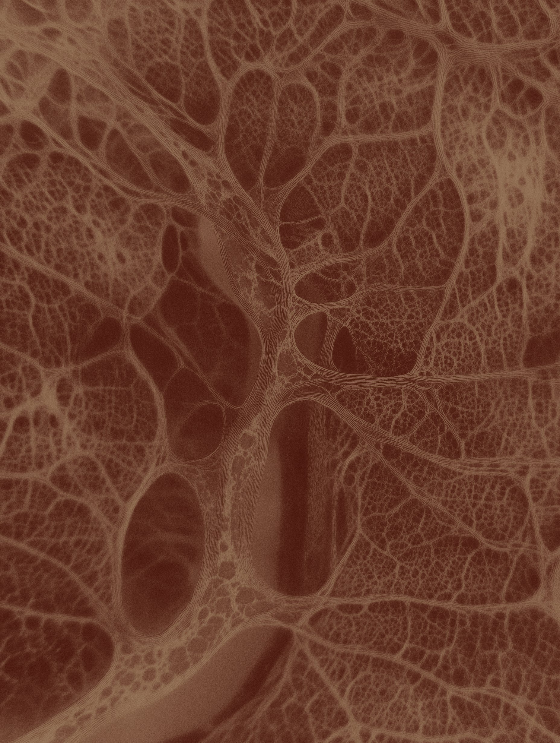 Abstract vein texture in brown tones
