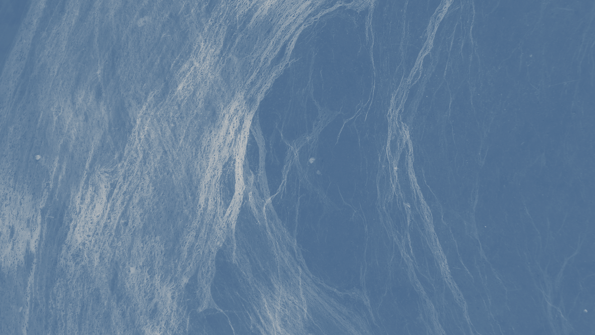 About us – Conscious Breathing Institute AB