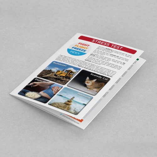 Brochure: Stress Test - Conscious Breathing Institute