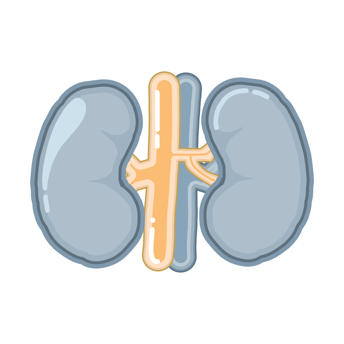 Kidney icon become calmer and smarter