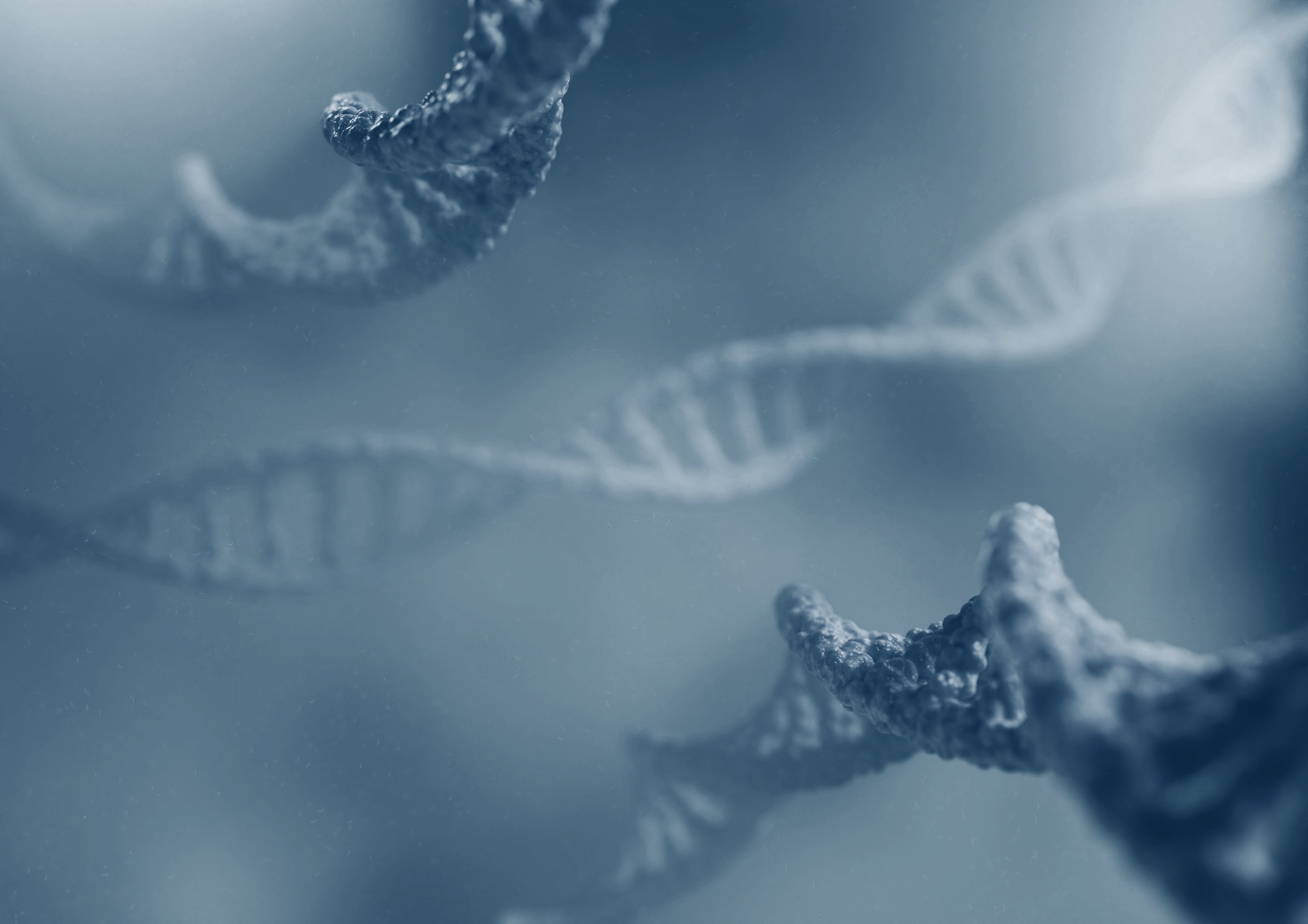 CO2 Academy landing page dark background