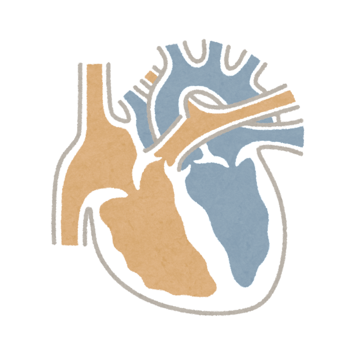 Lungs icon live longer and healthier