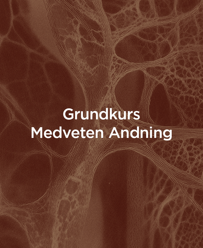 Conscious Breathing Foundation Course