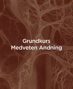 Conscious Breathing Foundation Course