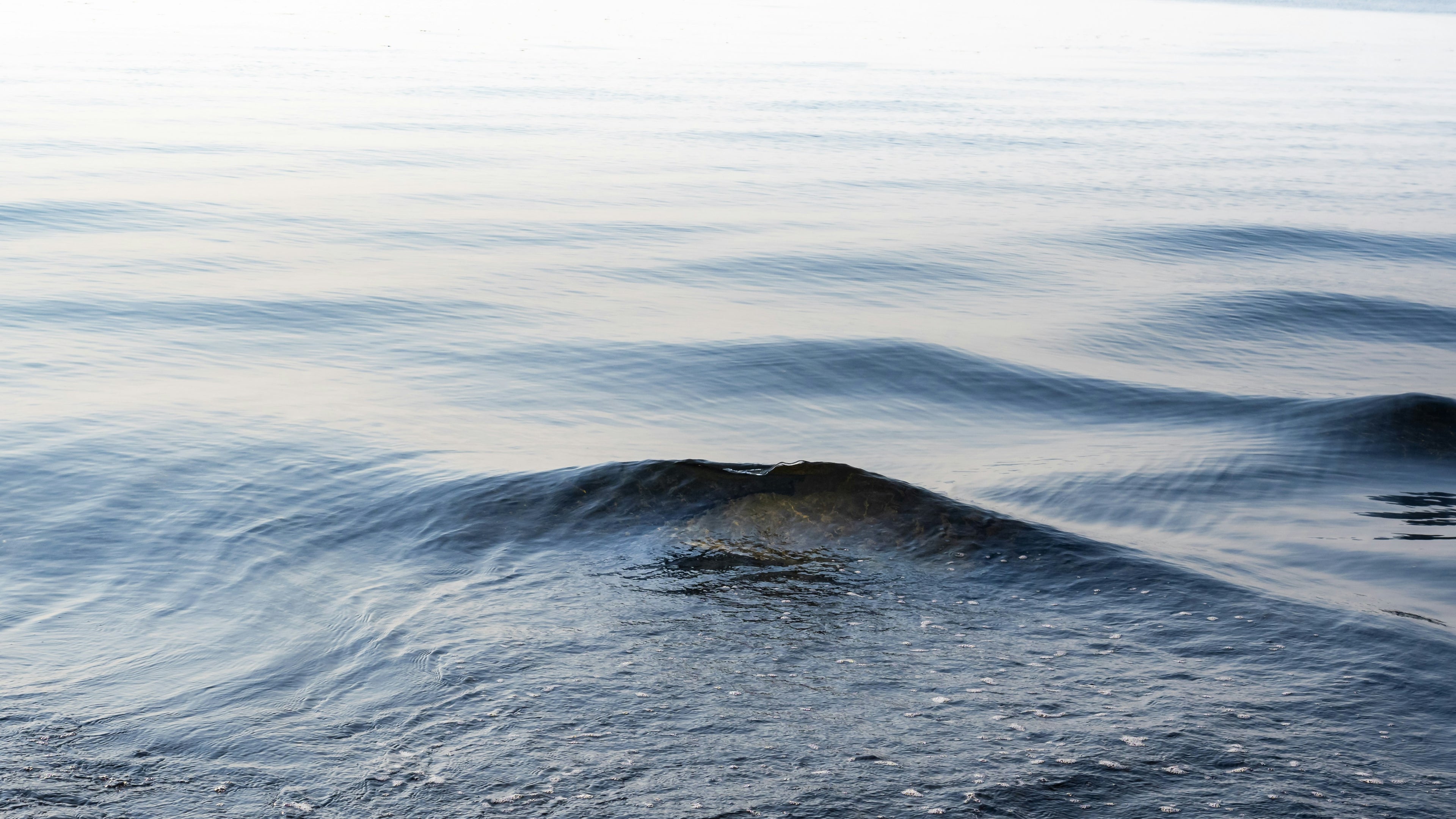 Rhythmic ocean wave symbolizing calm breathing